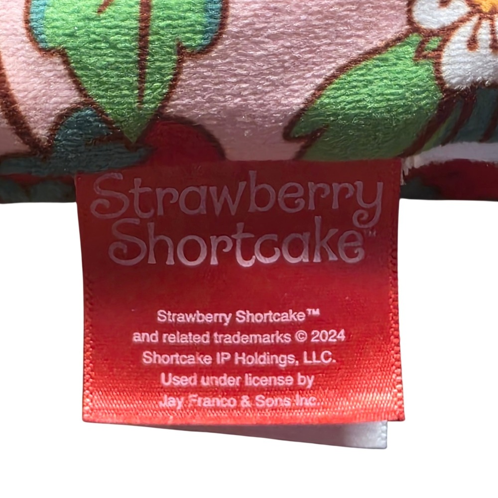 Strawberry Shortcake Plush Character Pillow Pink Red Retro 2024 Jay Franco - Picture 8 of 10